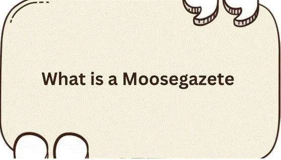 Discovering the Wonders of Moosegazete: A Comprehensive Guide