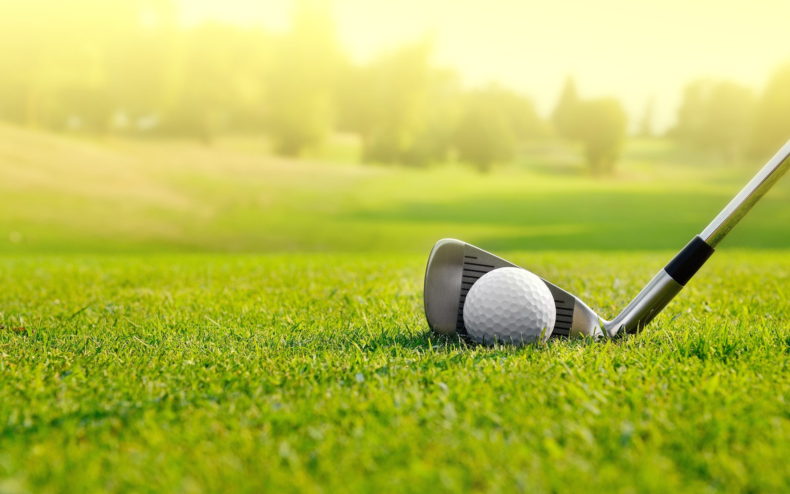 13 Best Golf Club Set for Intermediate Brushing Up Your Skills