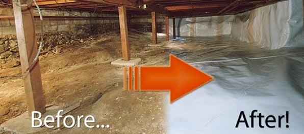 A Homeowner’s Guide to Crawl Space Mold Removal